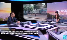 Dominique Connan : "La police au Kenya est particulièrement brutale"