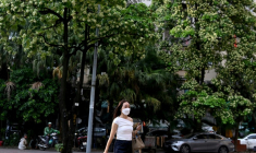 Une personne marche à Hanoï devant des arbres hoa sua, le 15 octobre 2026 ( AFP / Nhac NGUYEN )