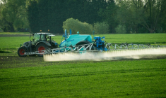 La loi d'urgence agricole prévoit la réintroduction dérogatoire pour quelques filières de deux pesticides interdits en France mais autorisés ailleurs en Europe   ( AFP / DENIS CHARLET )