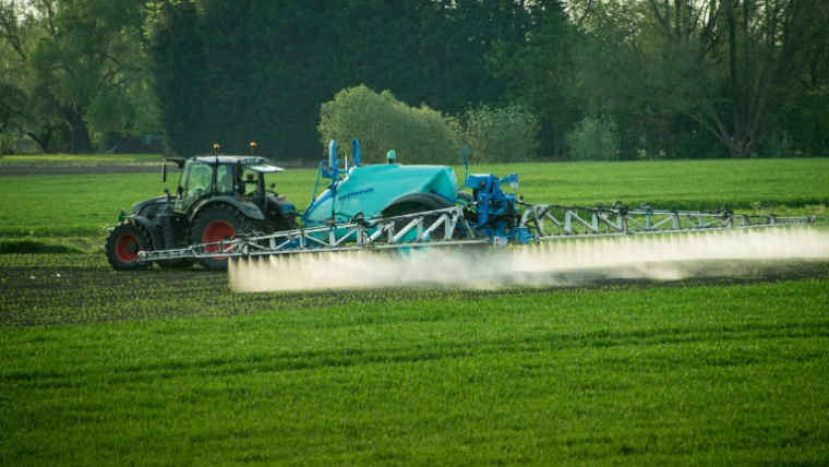La loi d'urgence agricole prévoit la réintroduction dérogatoire pour quelques filières de deux pesticides interdits en France mais autorisés ailleurs en Europe   ( AFP / DENIS CHARLET )