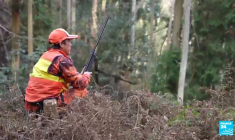 Japon : les fusillades restent rarissimes dans le pays