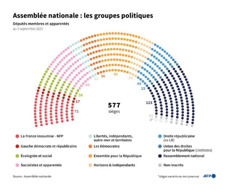Nombre de sièges par groupe à l'Assemblée nationale, au 3 septembre 2025 ( AFP / Nalini LEPETIT-CHELLA )