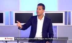 L'euro est-il responsable de tous nos malheurs ?