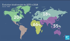 Crise de la biodiversité : en 50 ans la planète a perdu 70% de ses populations d'animaux sauvages