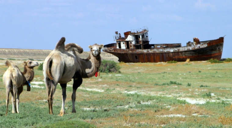 Des épaves de navires rouillées le 4 août 2010 dans le village de Dzhambul (Kazakhstan) près de la mer d'Aral ( AFP / VYACHESLAV OSELEDKO )