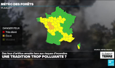 Risque d'incendies, pollution : quelles alternatives aux feux d'artifice du 14 juillet ?