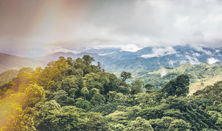 EDMOND DE ROTHSCHILD AM