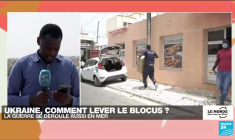Guerre en Ukraine : comment lever le blocus des ports ?