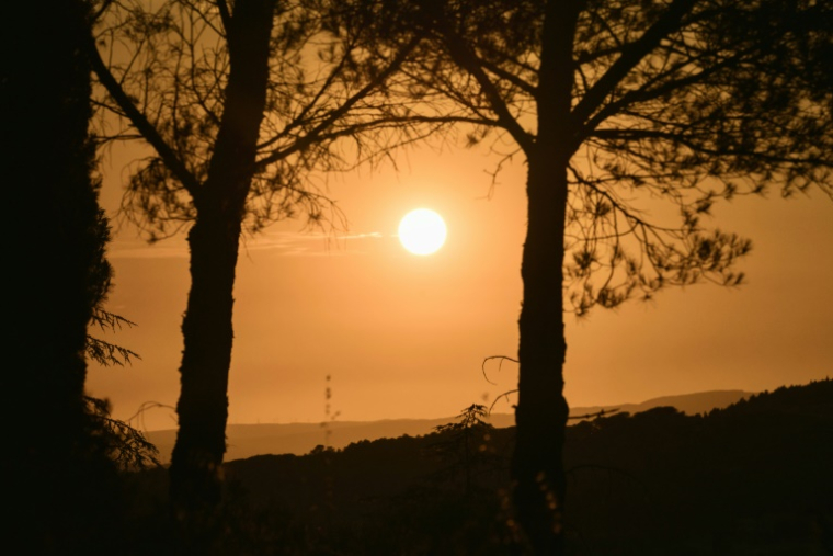 Le département de l'Aude sera en vigilance rouge aux feux de forêt mardi, avec un risque "très élevé" d'incendie, alors qu'un épisode de chaleur s'installe sur le sud-ouest de la France ( AFP / IDRISS BIGOU-GILLES )