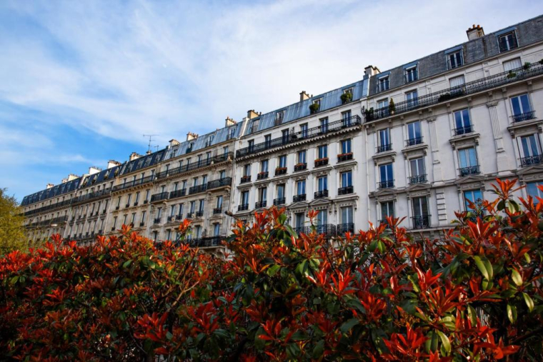 Chris Bourloton/Shutterstock / Chris Bourloton