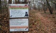 Un panneau avertissant les gens de la présence d'ours dans la région, près de la station balnéaire de Karuizawa, dans la préfecture de Nagano, le 10 novembre 2023 ( AFP / Richard A. Brooks )