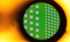 Une plaquette de circuit intégré, à l'Institut de recherche sur les semi-conducteurs de Séoul, en avril 2025 (illustration) ( AFP / ANTHONY WALLACE )