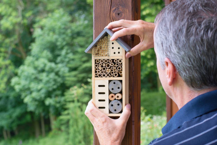 Adoptez des abeilles avec BeeHome ! - iStock-Tunatura