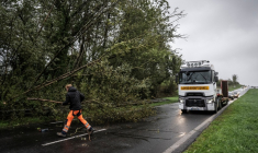 Un homme dégage des branches d'un arbre tombé sur la chaussée de la route départementale D924, près d'Équilly (Manche), en Normandie, le 23 octobre 2026, alors que la tempête Austen balayait le nord-ouest de la France ( AFP / Guillaume SALIGOT )