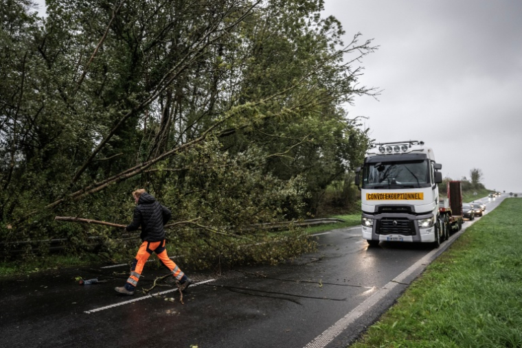 Un homme dégage des branches d'un arbre tombé sur la chaussée de la route départementale D924, près d'Équilly (Manche), en Normandie, le 23 octobre 2026, alors que la tempête Austen balayait le nord-ouest de la France  ( AFP / Guillaume SALIGOT )