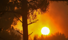 De la fumée s'élève d'une forêt à Claouey, au nord du bassin d'Arcachon, le 29 juillet 2026, lors des incendies qui ravagent la Gironde, dans le sud-ouest de la France ( AFP / ROMAIN PERROCHEAU )