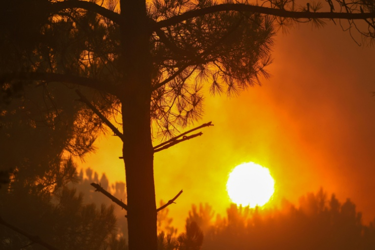 De la fumée s'élève d'une forêt à Claouey, au nord du bassin d'Arcachon, le 29 juillet 2026, lors des incendies qui ravagent la Gironde, dans le sud-ouest de la France ( AFP / ROMAIN PERROCHEAU )