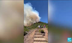 Feux à Madère : l'UE envoie 2 canadair pour aider le Portugal