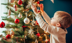 Etes-vous plutôt adepte du sapin naturel ou du sapin artificiel ? (Crédits photo : Adobe Stock -  )