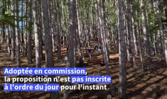 La classe dehors séduit de plus en plus, des députés veulent l’inscrire dans la loi