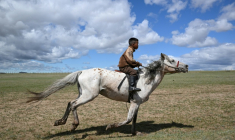 Hurts Gantumur, 6 ans, au galop dans les plaines de Mongolie, avant le festival du Naadam, le 23 juin 2026 ( AFP / Adek BERRY )