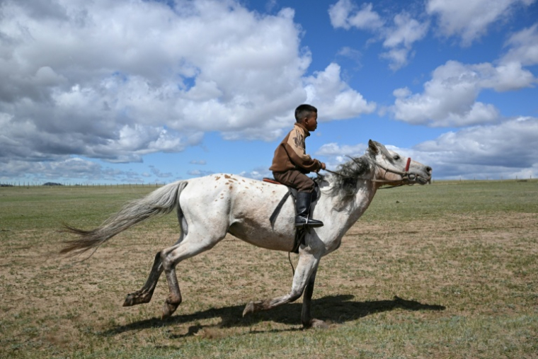 Hurts Gantumur, 6 ans, au galop dans les plaines de Mongolie, avant le festival du Naadam, le 23 juin 2026 ( AFP / Adek BERRY )