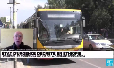 Éthiopie : l'offensive des rebelles tigréens menace la ville d'Addis-Abeba