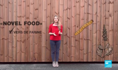 Insectes comestibles : des vers au menu