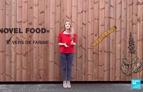 Insectes comestibles : des vers au menu