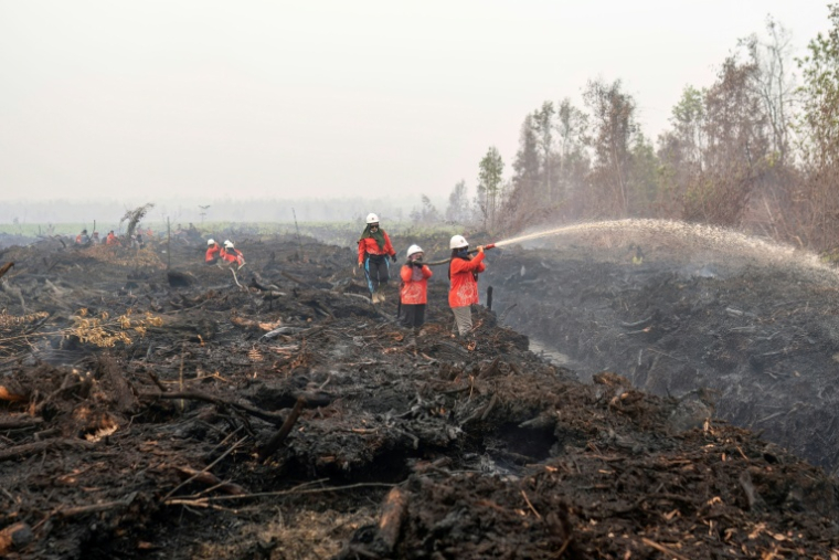 Des pompiers volontaires arrossent des tourbières fumantes à Mensubuk Lama, dans le Kalimantan occidental, le 26 septembre 2026 en Indonésie ( AFP / HERIBERTUS )