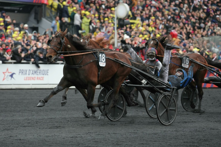 Clément Duvaldestin drive Idao de Tillard lors de sa victoire  dans le Prix d'Amérique à Paris Vincennes, photo du 26 janvier 2025. ( AFP / Thomas SAMSON )