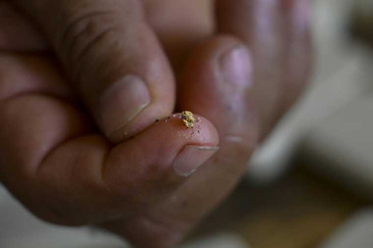 De l'or extrait d'une mine artisanale à Las Brisas de Cuyuni, au Venezuela, le 11 juin 2026 ( AFP / Federico PARRA )