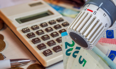 (Crédits photo: © Animaflora PicsStock - stock.adobe.com)