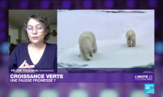 Croissance verte : "L'émergence d'un nouveau système de capitalisme"