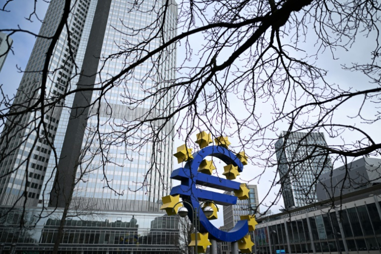 La zone euro rassemble déjà 350 millions d'habitants ( AFP / Kirill KUDRYAVTSEV )