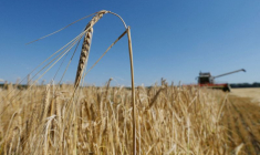 KYIV OFFICIALISE LA FERMETURE DES PORTS BLOQUÉS PAR LA RUSSIE, VERS DES LOURDES PERTES DE CÉRÉALES