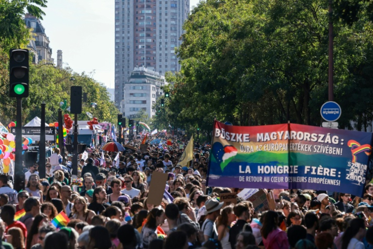 Marche des fiertés pour la défense des droits des personnes LGBT+, le 3 octobre 2026 à Paris     ( AFP / Kenzo TRIBOUILLARD )