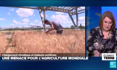 Changement climatique: une menace pour l'agriculture mondiale