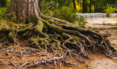 (Crédits photo : Unsplash - Eilis Garvey )