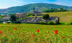 Concession funéraire : combien ça coûte et combien de temps ça dure vraiment ? / iStock.com - RnDmS