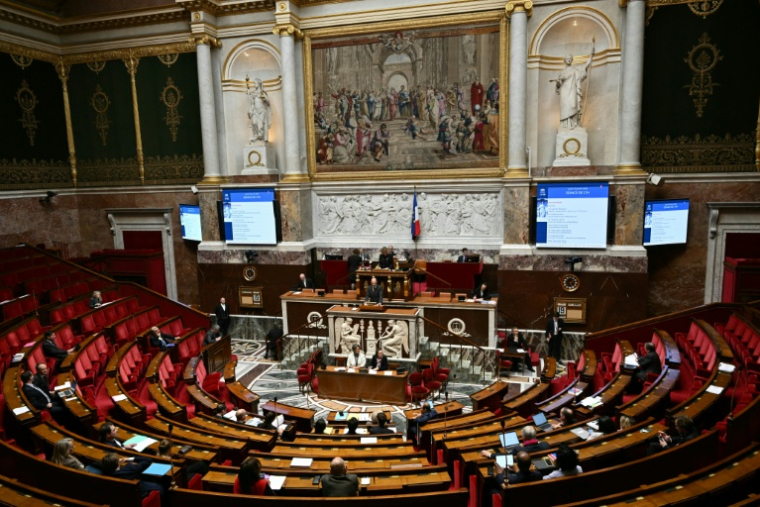 L'Assemblée nationale, le 19 janvier 2026 à Paris ( AFP / Bertrand GUAY )