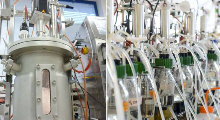 Depuis trois mois, l'action Global Bionenergies a reculé de 8,88%. (© Global Bioenergies)