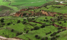 Plus de 1.000 personnes évacuées après un glissement de terrain en Sicile