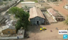 Guerre de l'arachide au Sénégal : les huiliers dénoncent le dumping étrangers