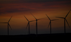 ( AFP / MARTIN BERNETTI )