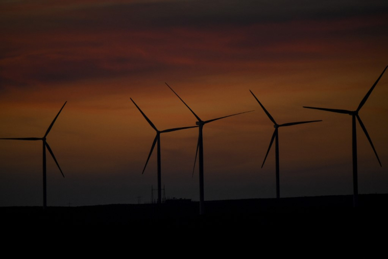 ( AFP / MARTIN BERNETTI )