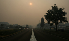 L'entrée de Biscarrosse (sud-ouest), sous un ciel jauni par les fumées d'un incendie de forêt qui se propage dans les environs, le 24 juillet 2026 ( AFP / ROMAIN PERROCHEAU )