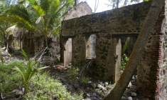 Les ruines du bagne de Cayenne, sur l'île du Diable, le 13 février 2010 en Guyane ( AFP / JODY AMIET )