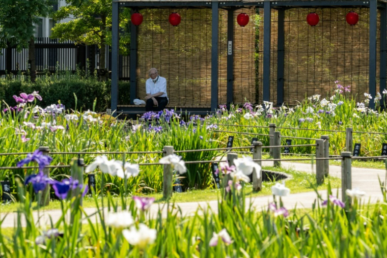 Un visiteur du jardin d'iris Horikiri se repose à l'ombre, le 18 juin 2025 à Tokyo où les températures ont dépassé les 34°C ( AFP / Philip FONG )