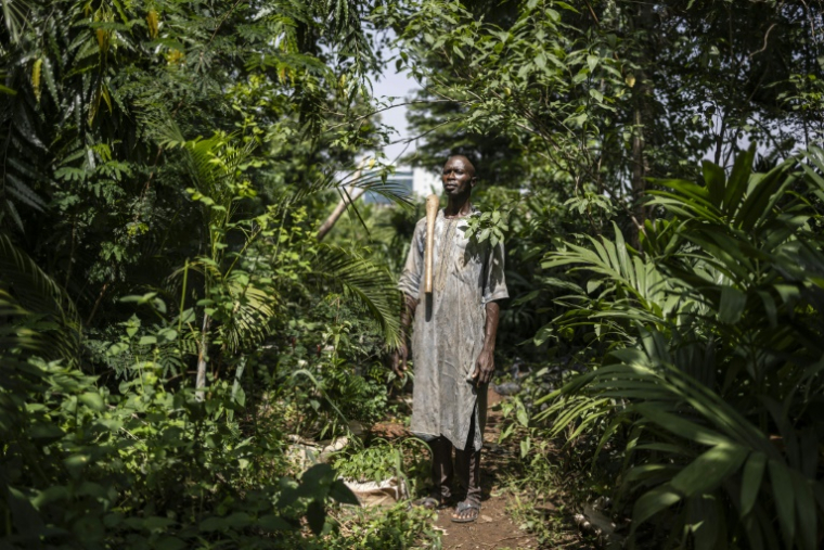 L'agriculteur Bala Haruna dans sa ferme urbaine dans le quartier d'affaires d'Abuja, le 23 mai 2025 au Nigeria ( AFP / OLYMPIA DE MAISMONT )